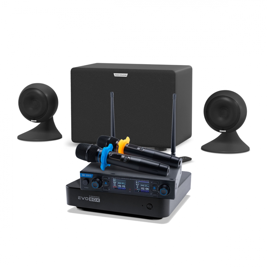 караоке-комплект EVOBOX + EvoSound Sphere 2.1 в Городище