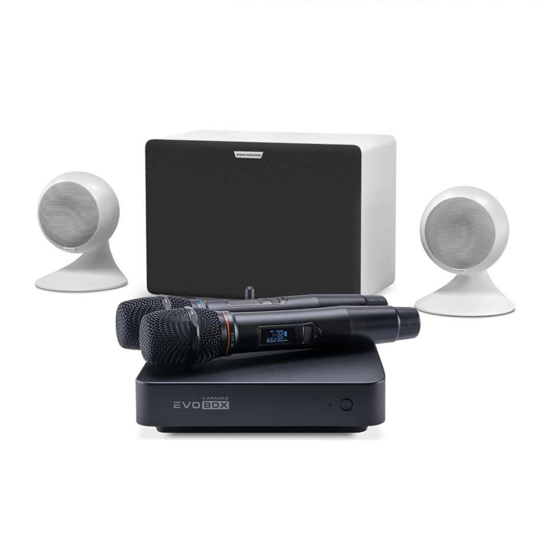 караоке-комплект EVOBOX Classic + EvoSound Sphere 2.1 в Городище