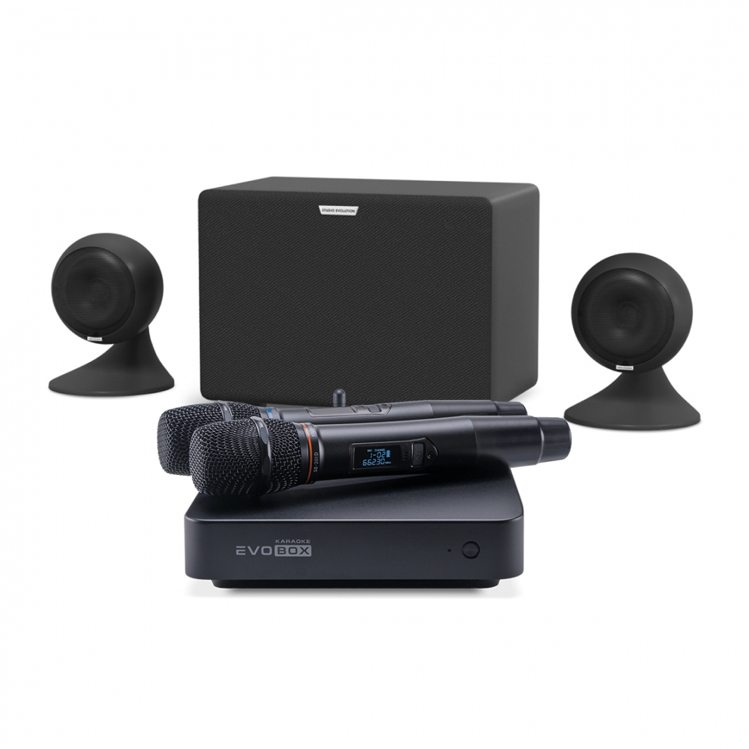 караоке-комплект EVOBOX Plus + EvoSound Sphere 2.1 в Городище