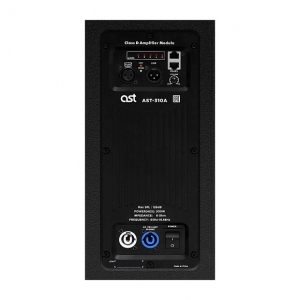 Активная акустическая система AST-310A в Городище