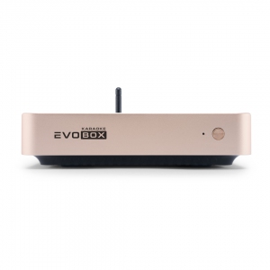 EVOBOX Plus караоке-система для дома в Городище