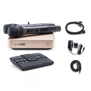 EVOBOX Plus караоке-система для дома в Городище
