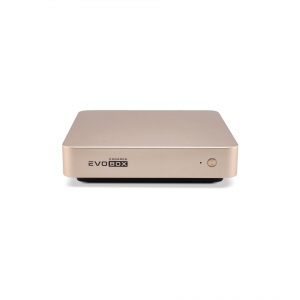 EVOBOX с микрофонами в Городище